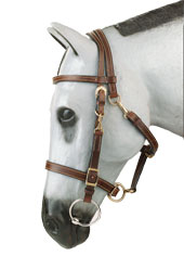 DU-BRI-325Lite Weight Austrailian Halter Bridle Combo