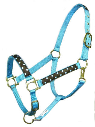 RMTurquoise Designer Halter with Brown Polka Dot Trim