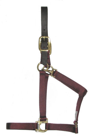 RM-BCNylon Halters with Leather Breakaway Crowns