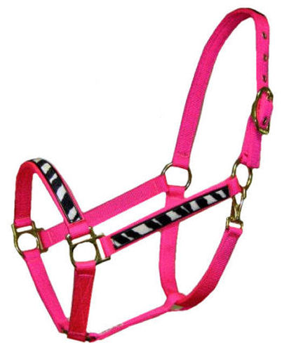 Nylon Halters